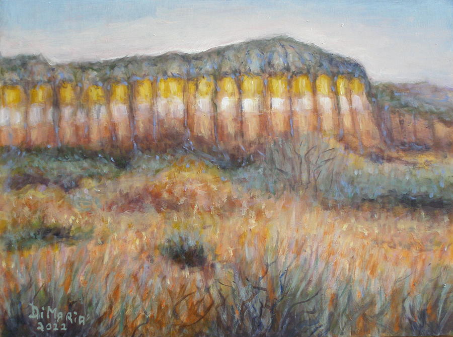 Desert Landscape #1 Painting by Donelli  DiMaria