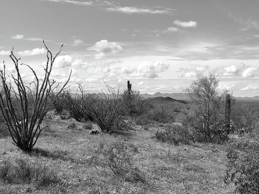 Nature Photograph - Desert Landscape Black and White by Teresa Wilson