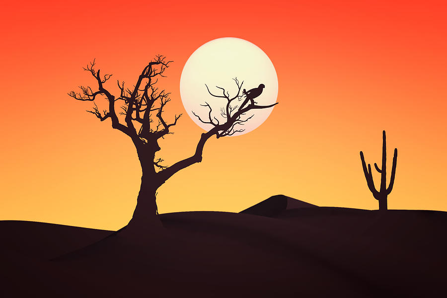 Desert Landscape Digital Art