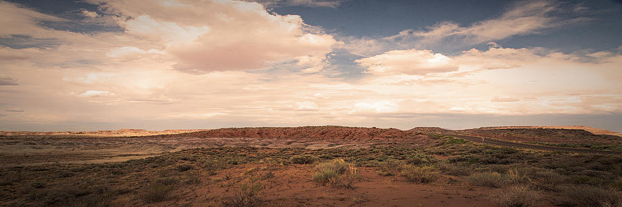 DESERT LANDSCAPE No. 17 Photograph by Chuck Caramella