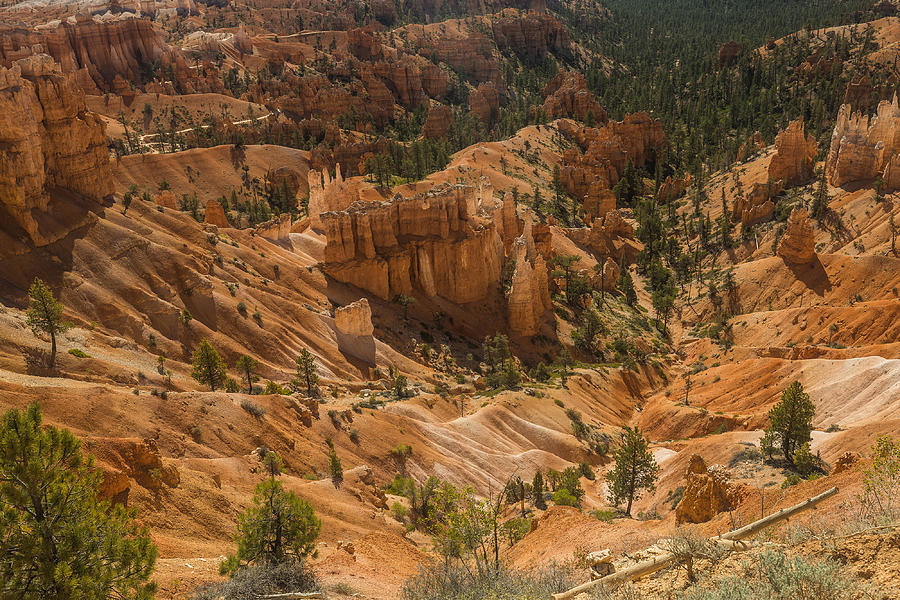Desert Landscape Of Bryce Canyon National Park With The Rock Formations Made Of Sandstone. Utah. Photograph