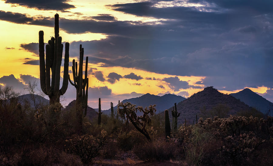 Desert Layers At Sunset Photograph by Saija Lehtonen | Fine Art America