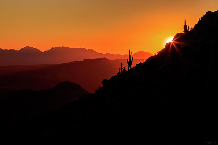 Desert Light Photograph by Rick Furmanek