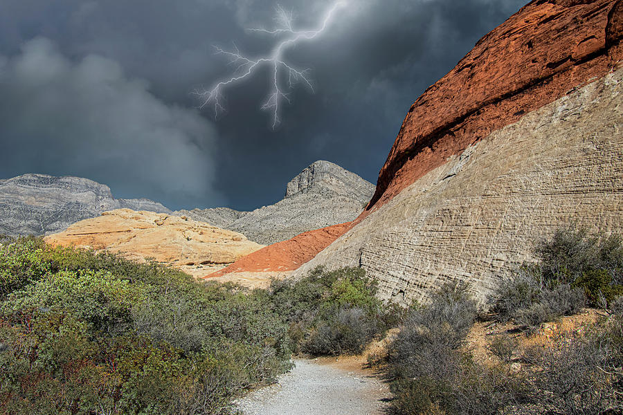 Desert Lightning Photograph by Frank Wilson