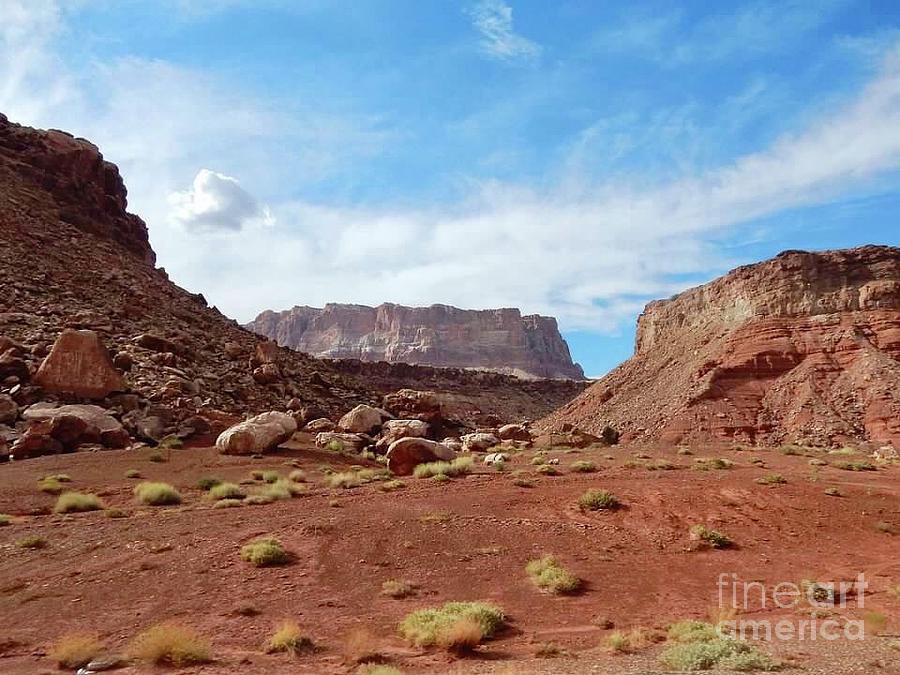Desert Mesa Photograph by Melissa OGara Fine Art America