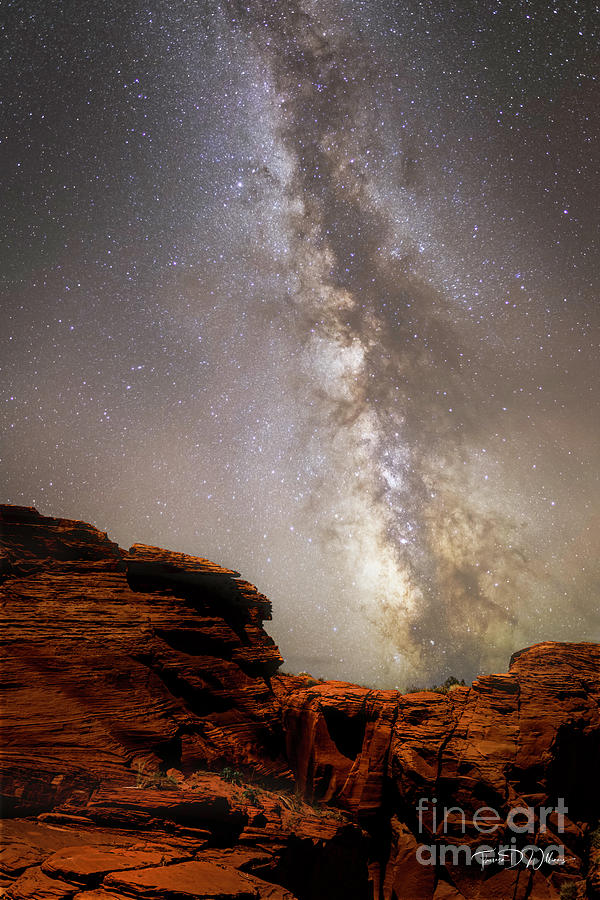 Desert Milky Way  Photograph by Theresa D Williams