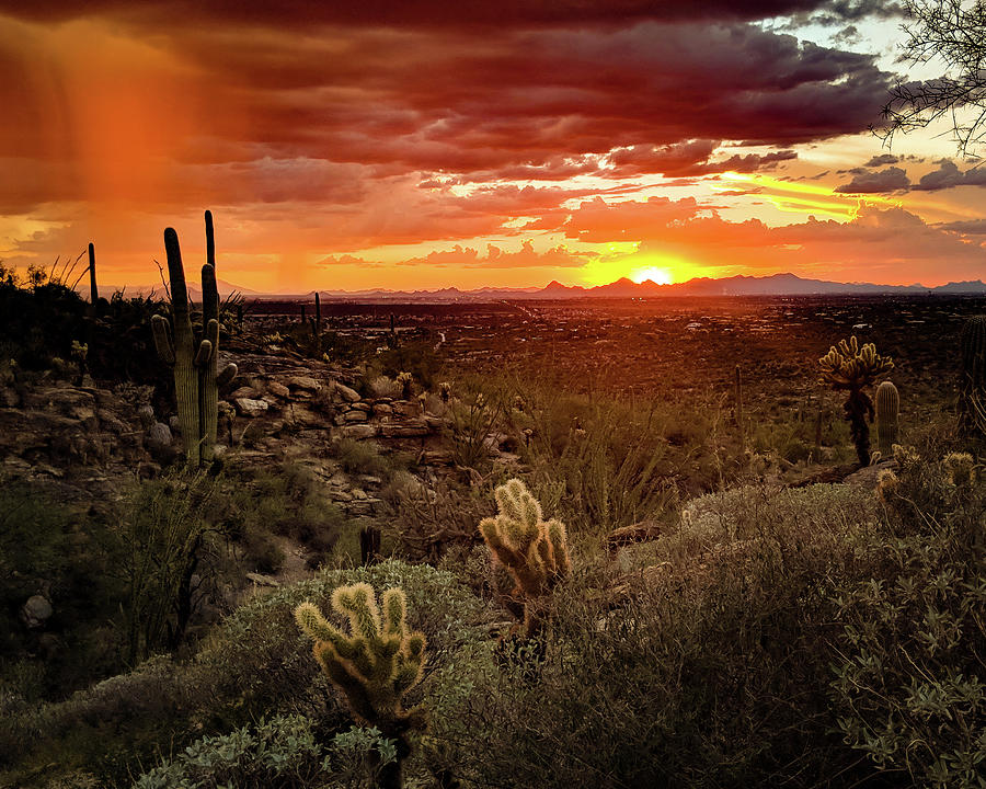 Desert Photograph - Desert Monsoon by GraphiGlyphics Photography Desert Photograph - Desert Monsoon by GraphiGlyphics Photography