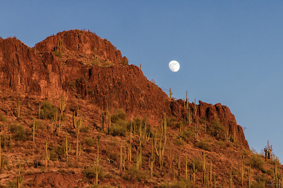 Beaver Moonrise Over the Sonoran Photograph by Rick Furmanek