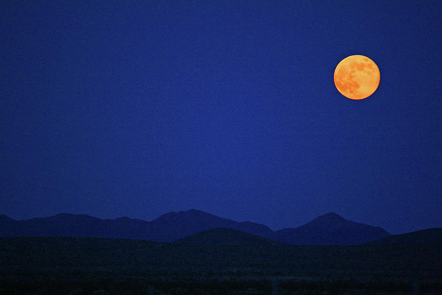 Desert Moon Pyrography by Tony Spencer