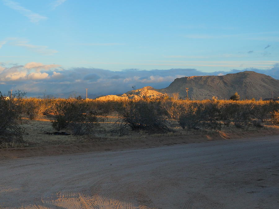 Desert Morning Highlights  Photograph by Richard Thomas