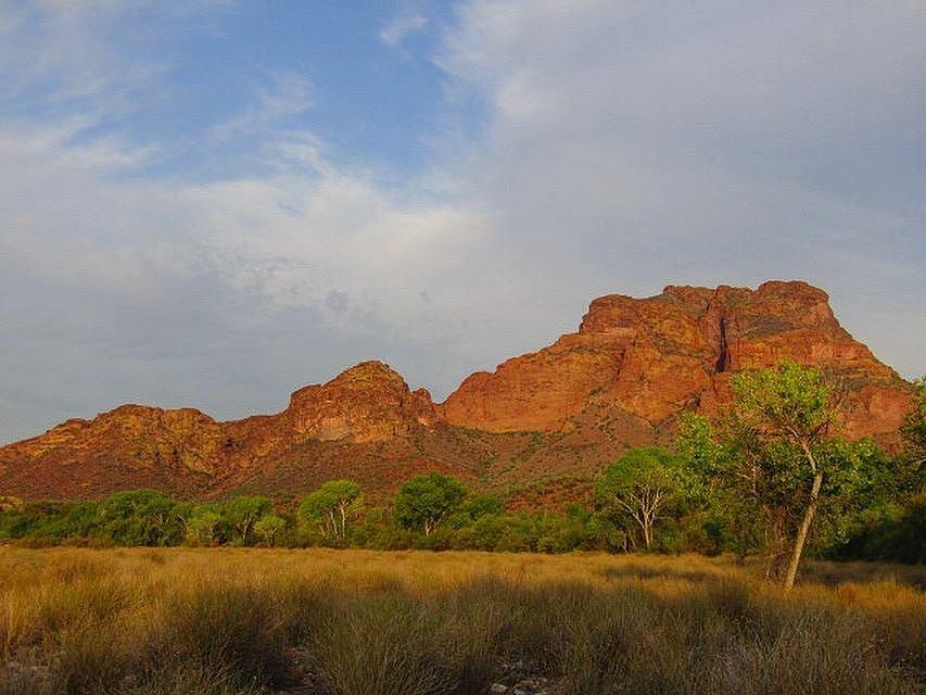 Desert Morning Photograph by Peter Everhart - Fine Art America