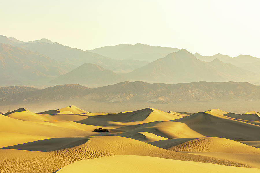 Desert Morning Photograph by Stefan Mazzola