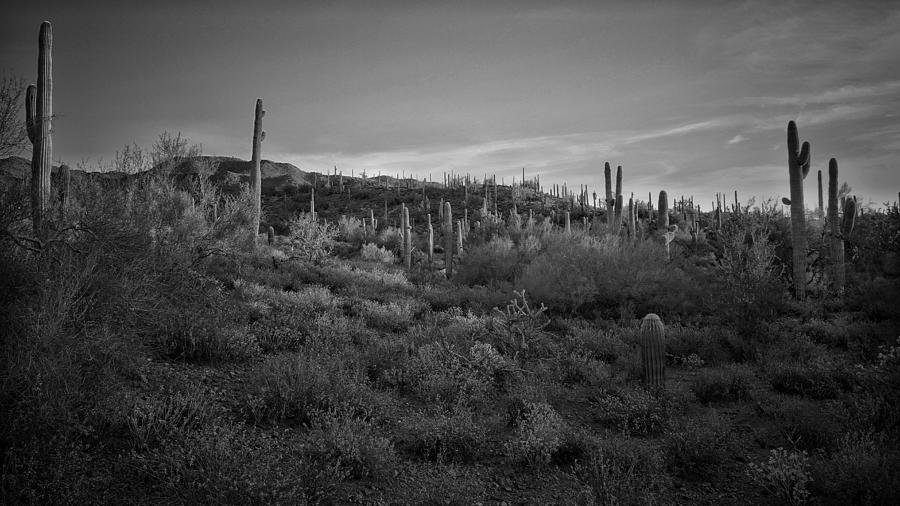 Desert Mountain Sunrise Black and White Photograph by Bruce Moore ...