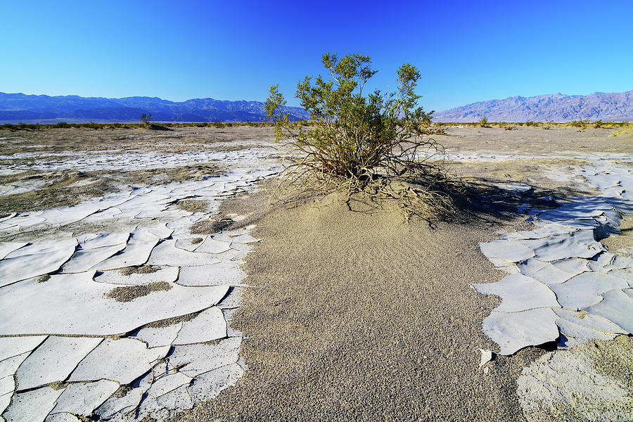 Desert Mud Tiles Photograph by Spencer McDonald