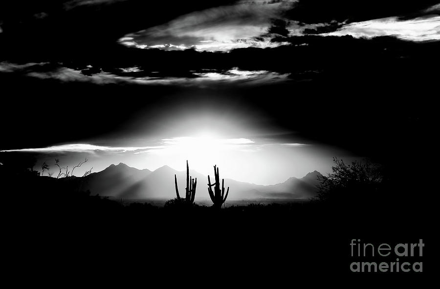 Desert Nightfall Photograph by Edward Printz