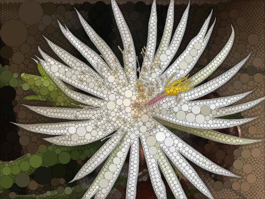 White Digital Art - Desert Orchid by Dahl Winters White Digital Art - Desert Orchid by Dahl Winters