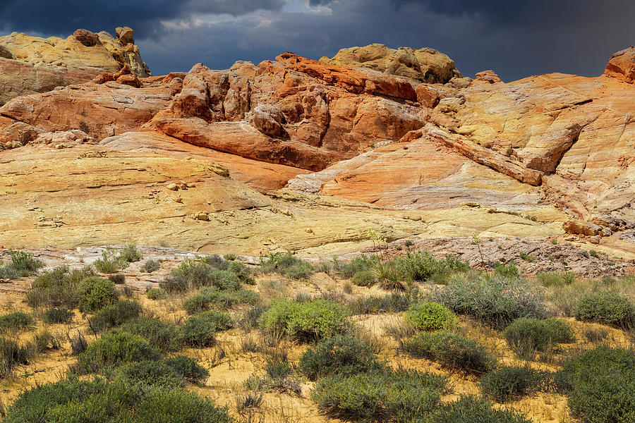 Nature Photograph - Desert Pallet by Frank Wilson