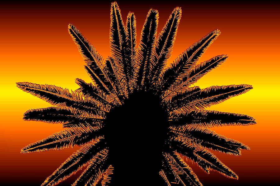 Desert palm Mixed Media by David Lee Thompson