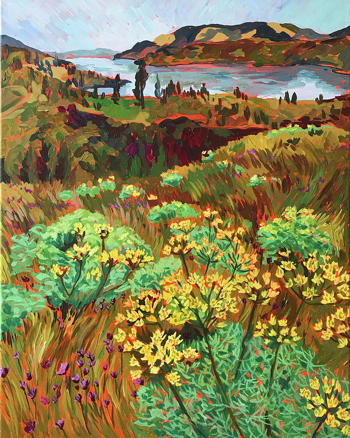 Desert Parsley at Catherine Creek Painting by Anisa Asakawa