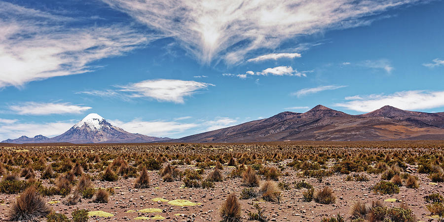 Desert Path To Nevado Sajama Photograph by Ron Dubin