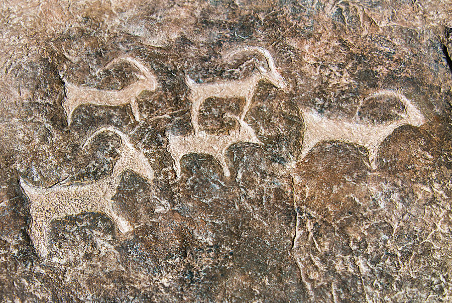 Desert Petroglyphs Photograph by Anthony Sacco