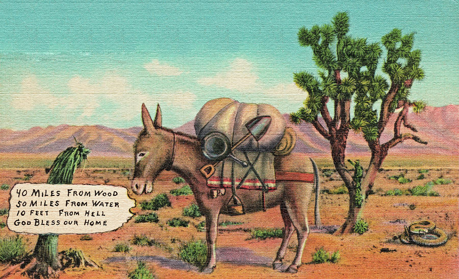 Desert Post Card Photograph