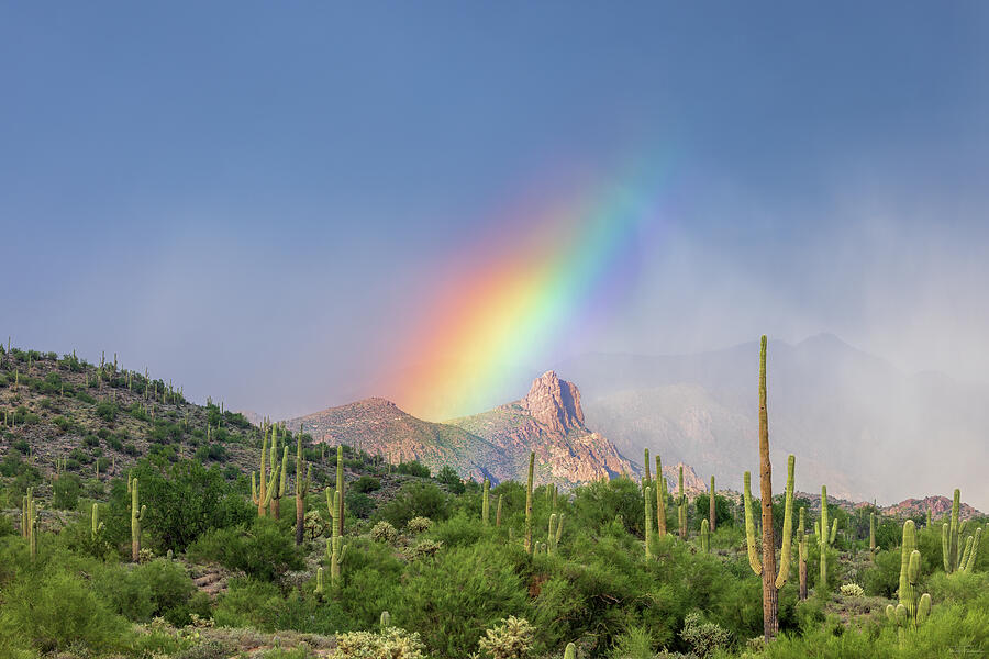 Desert Prism Photograph by Rick Furmanek