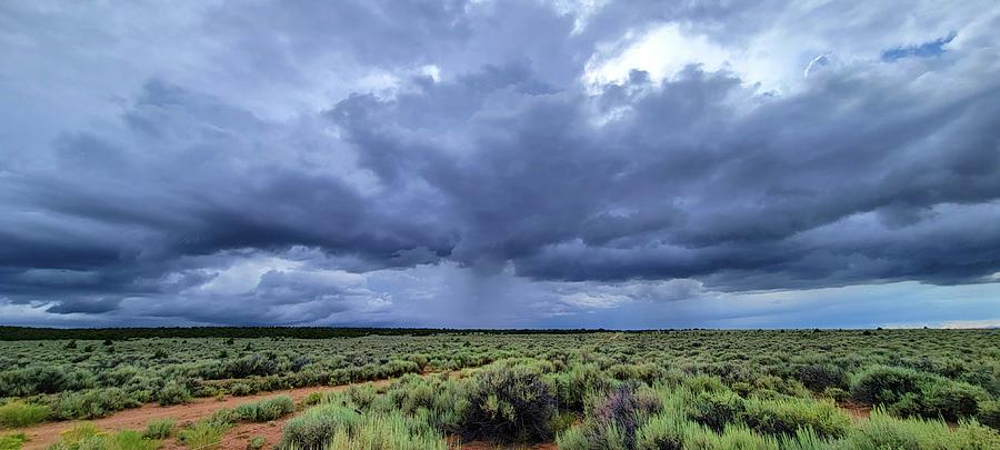 Desert Rain  Photograph by Ally White