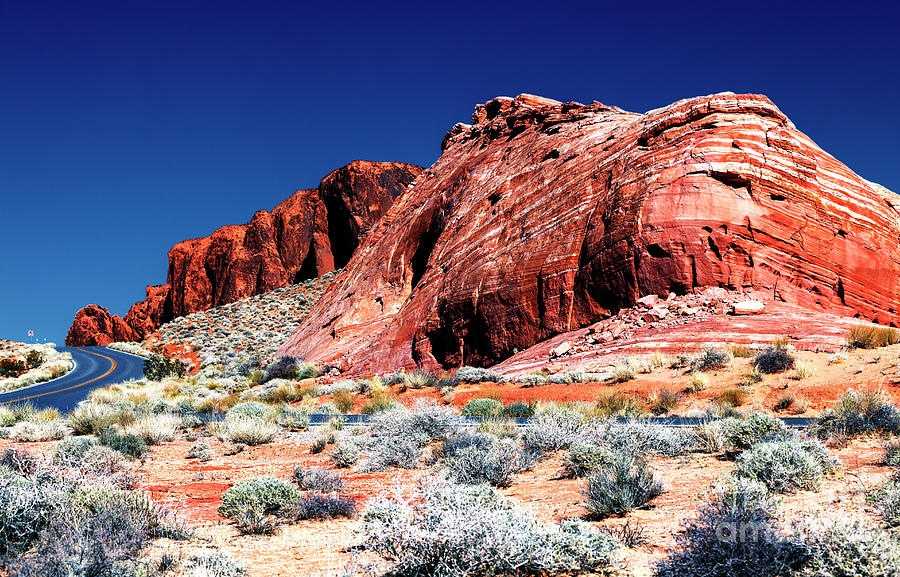 Desert Rock at the Valley of Fire Photograph by John Rizzuto
