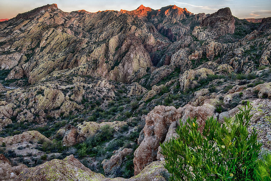 Desert Rock Texture at Sunset Photograph by Dave Dilli