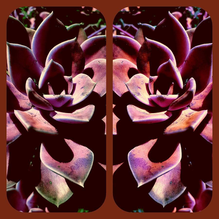 Desert Rose Collage Digital Art by Loraine Yaffe