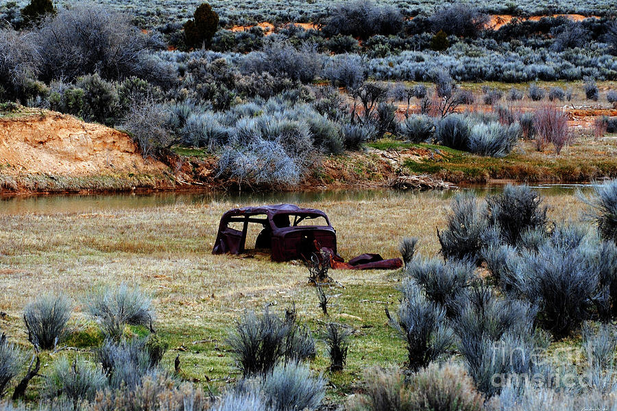 Desert Rust Photograph by Kerri Ann McClellan - Fine Art America