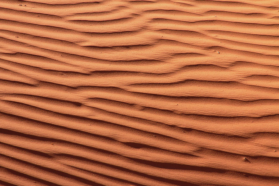 Desert Sand Photograph by Kristal Kraft