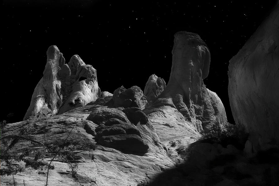 Desert Sandstone Formations In Moonlight Photograph by Frank Wilson