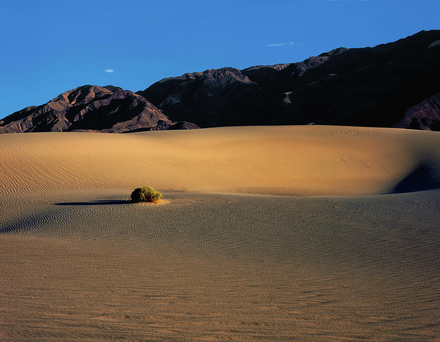 Desert Shadow Box View Photograph by Paul Breitkreuz