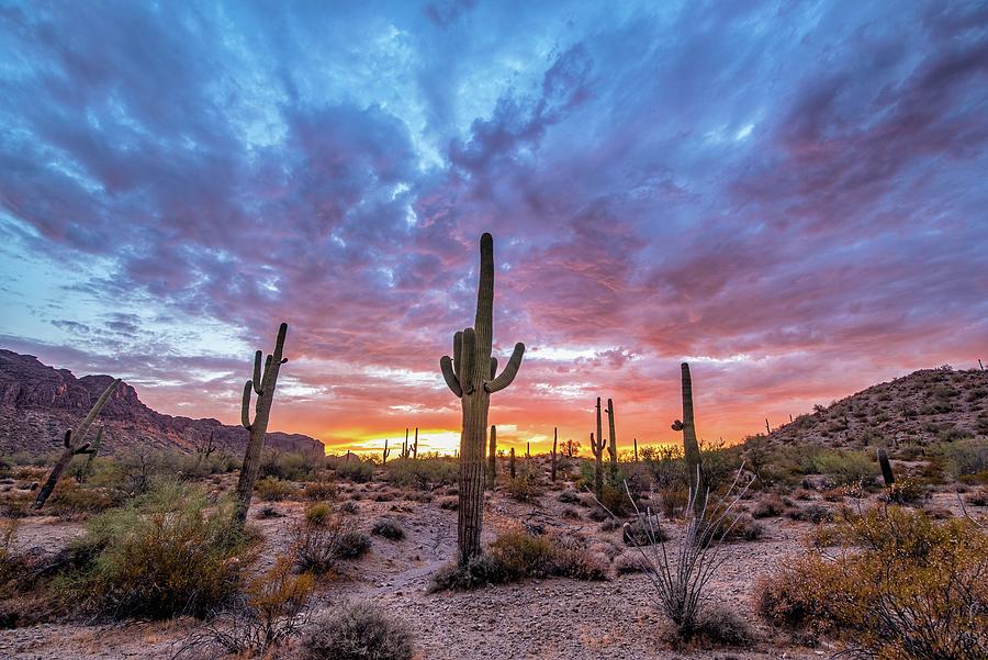 Desert Skies Photograph by Andy Dilling | Fine Art America