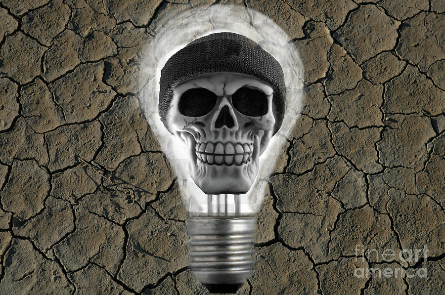 Desert skull in greyscale Photograph by Pics By Tony