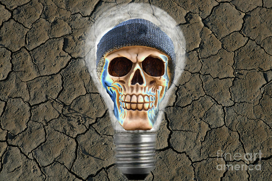 Desert Skull Lightbulb Photograph by Pics By Tony