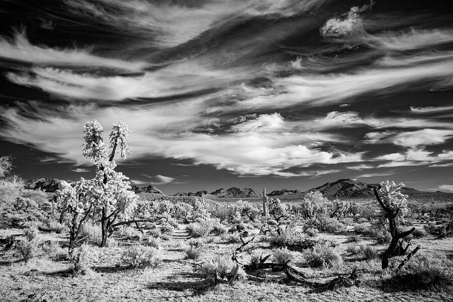 Arizona Photograph - Desert Sky Waves by Cathy Franklin Arizona Photograph - Desert Sky Waves by Cathy Franklin