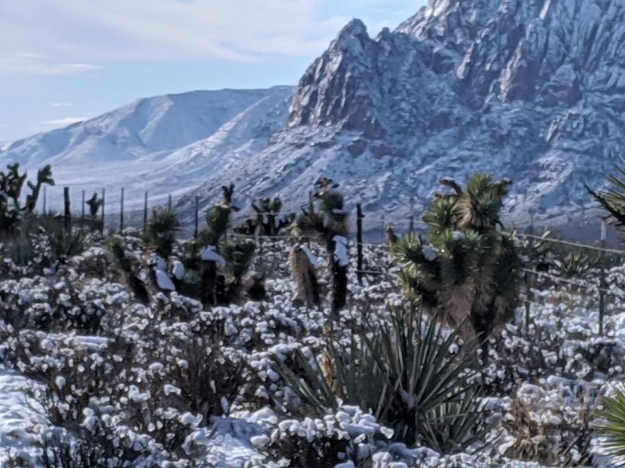 Mountain Photograph - Desert Snow by Merri McKee