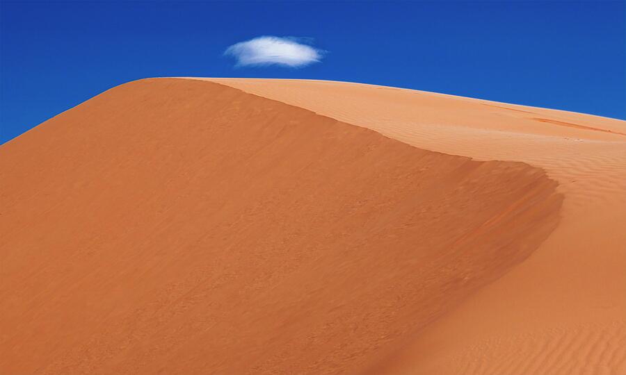 Desert Solitaire Photograph by Skip Hunt Desert Solitaire Photograph by Skip Hunt
