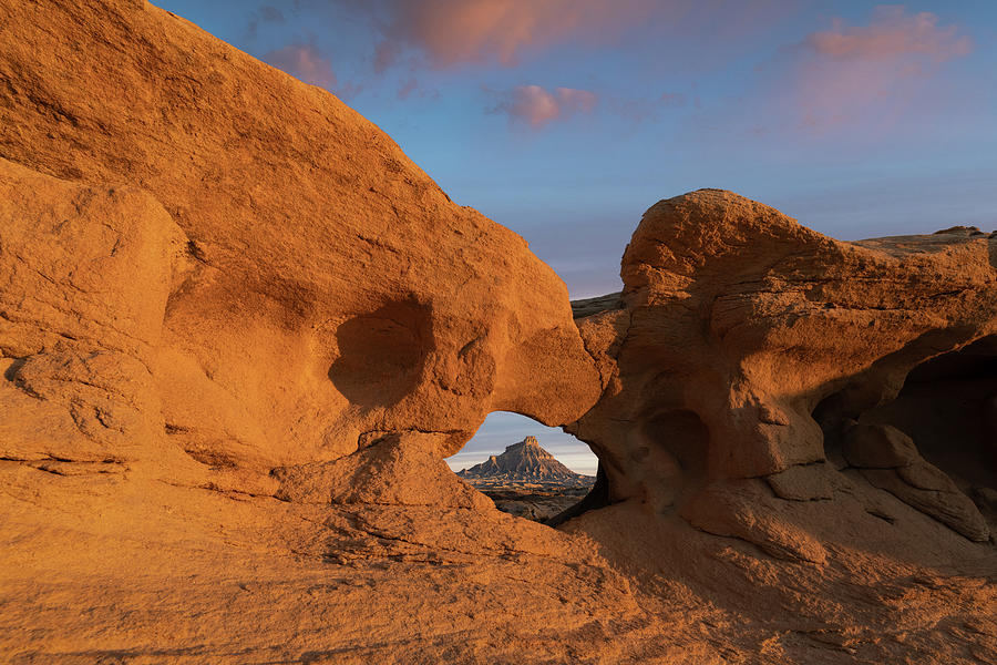 Desert Solitary  Photograph by Dustin LeFevre