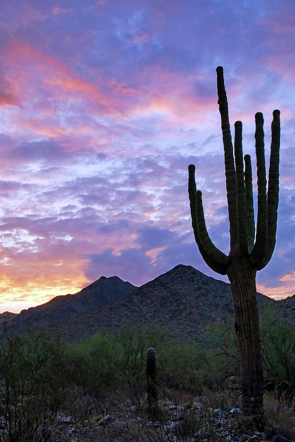 Desert Southwest Sunrise Photograph