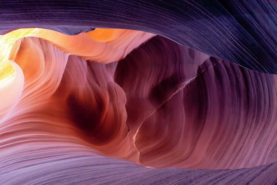 Desert Spectrum Photograph by Chad Dutson