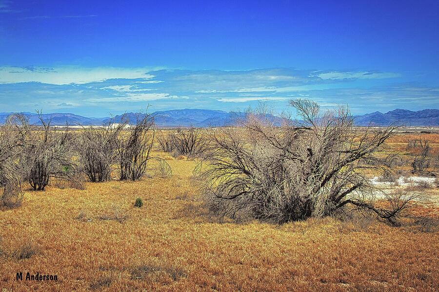 Death Valley National Park Photograph - Desert Sprawl by Michael R Anderson