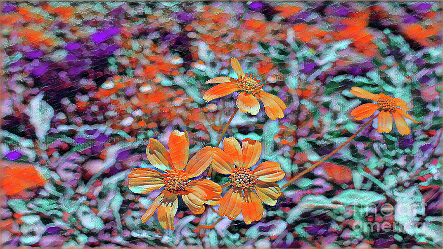 Desert Spring Flower RR3590 Digital Art by David Ragland