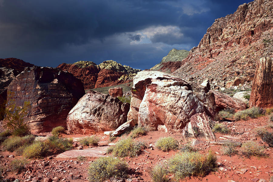 Nature Photograph - Desert Storm Approaching by Frank Wilson