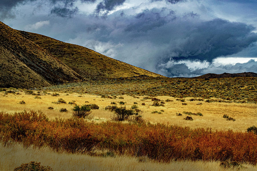 Nature Photograph - Desert Storm by Frank Wilson