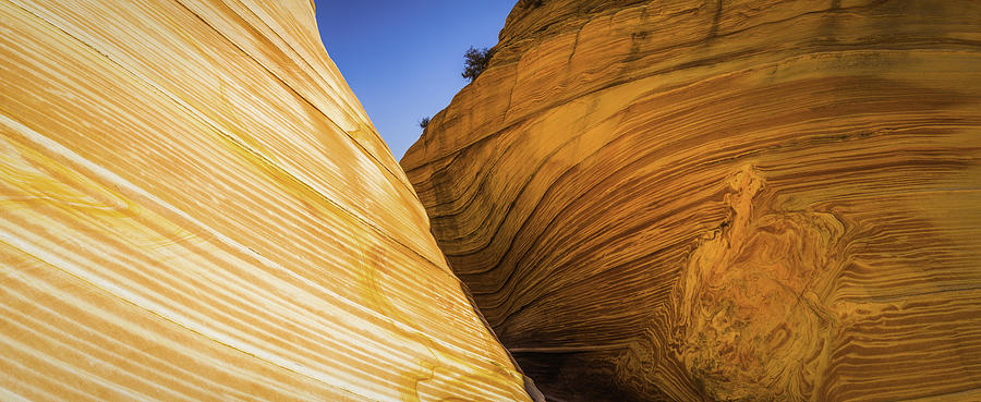 Desert strata swirling along slot canyon The Wave Arizona USA Photograph by fotoVoyager