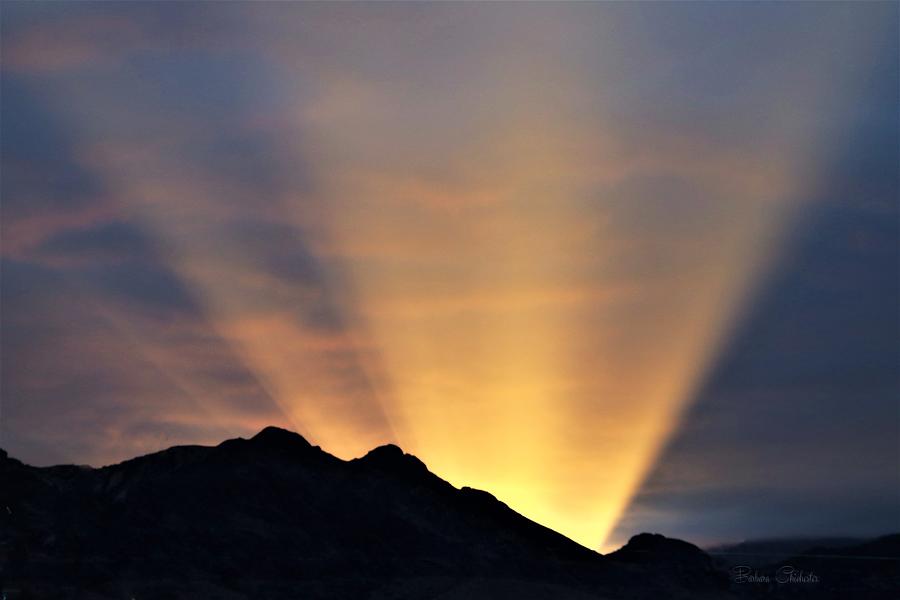 Desert Sunrays At Dawn Photograph by Barbara Chichester